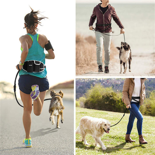 Mãos livres - Coleira e bolsa de cintura para corridas com os pets ao ar livre.