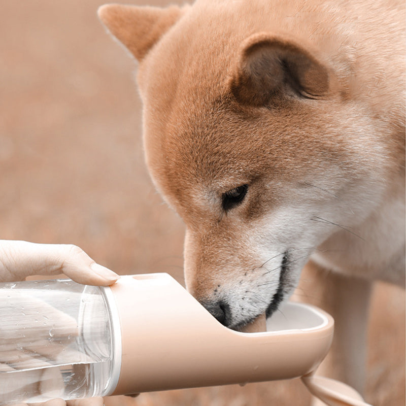 Copos de Beber Portáteis para Gatos e Cães